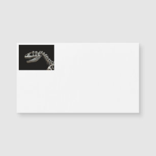 Dinosaur Skeleton Business Cards