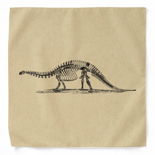 Dinosaur Skeleton Vintage Art Bandana