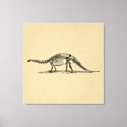 Dinosaur Skeleton Vintage Art Canvas Print