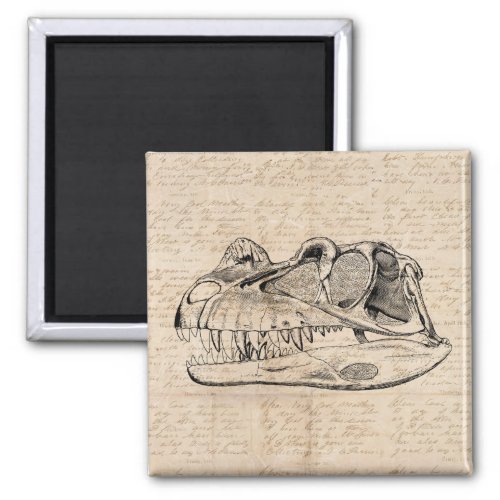 Dinosaur Skull Illustration  Antique Script Paper Magnet