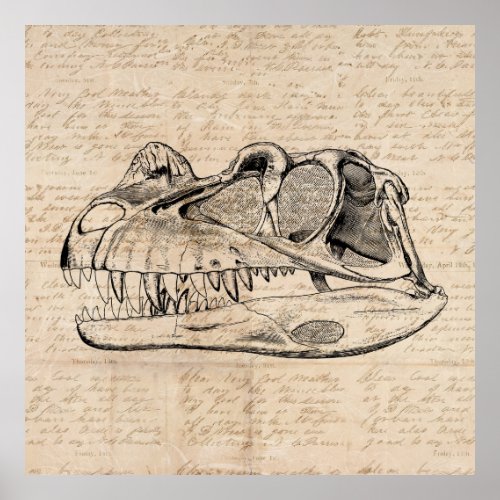 Dinosaur Skull Illustration  Antique Script Paper Poster