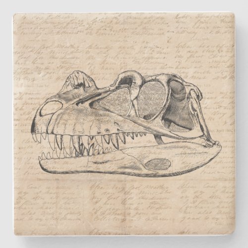 Dinosaur Skull Illustration  Antique Script Paper Stone Coaster