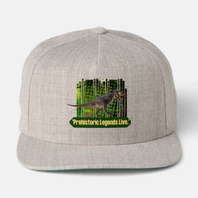 dinosaur snap back hat (Front)