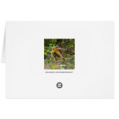 Dinosaur Spinosaurus Cards (Back Horizontal)