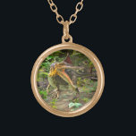 Dinosaur Spinosaurus Gold Plated Necklace<br><div class="desc">Step back in time with this awesome Spinosaurus design, perfect for dinosaur lovers of all ages! This funny and cool artwork features the mighty Spinosaurus roaming a prehistoric forest, capturing the wild beauty of nature. Whether you're a dino enthusiast, a paleontology fan, or just love dinosaurs, this is the perfect...</div>