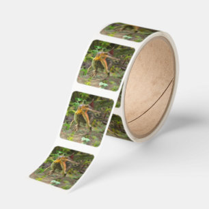 Dinosaur Spinosaurus Square Sticker