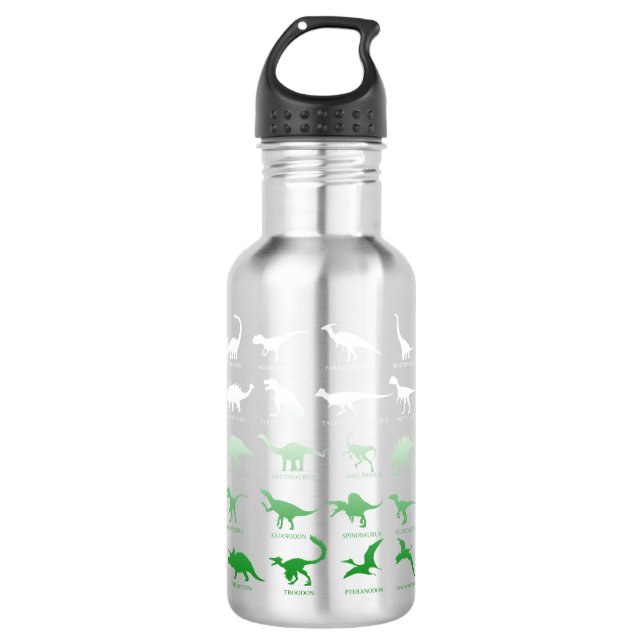 dinosaur stainless steel water bottle (Front)