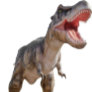 Dinosaur T Rex Kids Jurassic World  Invitation