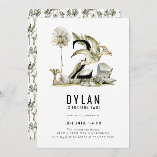Dinosaur Theme 2nd Birthday Party Invitation