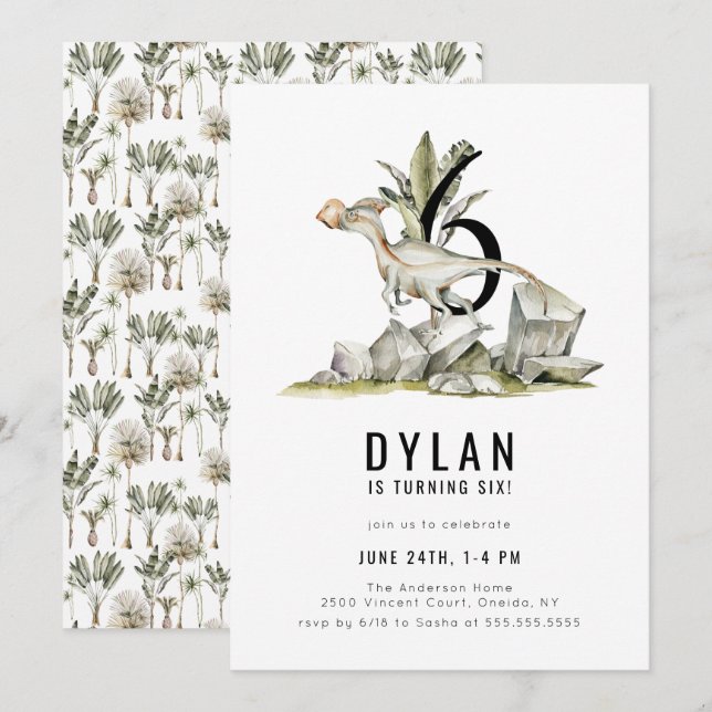 Dinosaur Theme 6th Birthday Party Invitation (Front/Back)