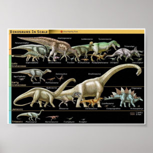 Dinosaur Timeline Biology Poster