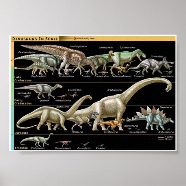 Dinosaur Timeline Biology Poster (Front)