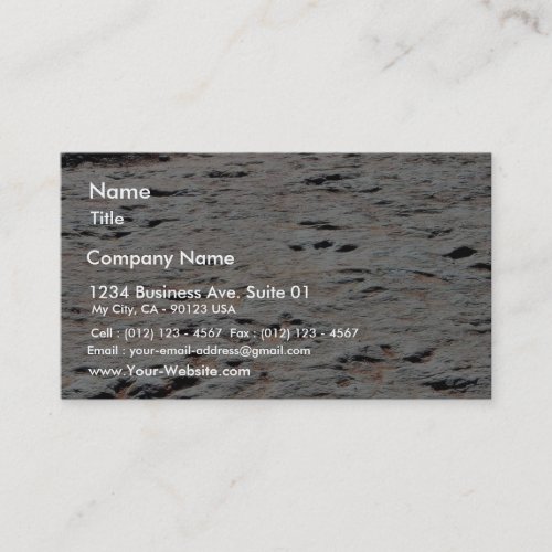 Dinosaur Tracks Business Card Templates