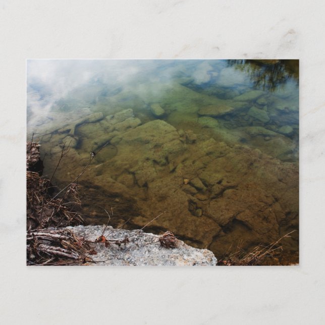 Dinosaur Tracks in Texas 3 postcard (Front)