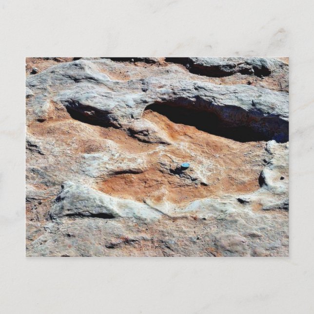 Dinosaur Tracks North Of Flagstaff Postcard (Front)