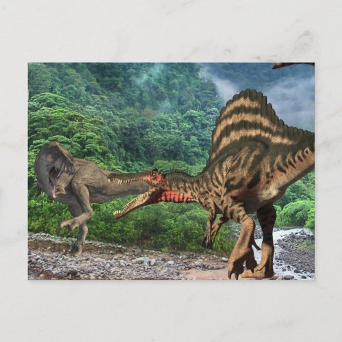 Dinosaur Tyrannosaurus Spinosaurus  Postcard