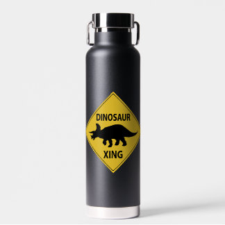 Dinosaur XING Water Bottle