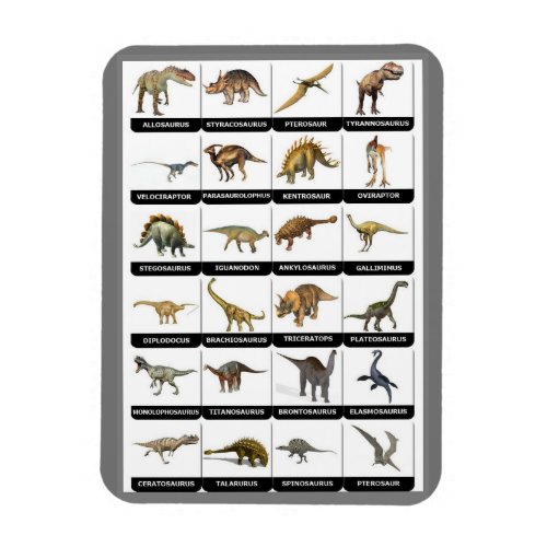 Dinosaurs Chart  Magnet