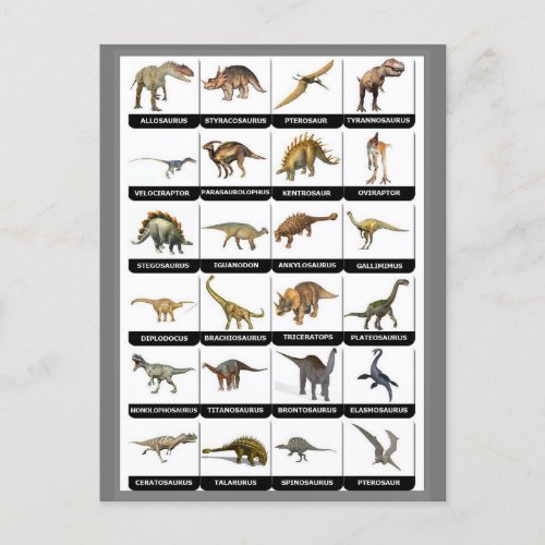 Dinosaurs Chart Postcard