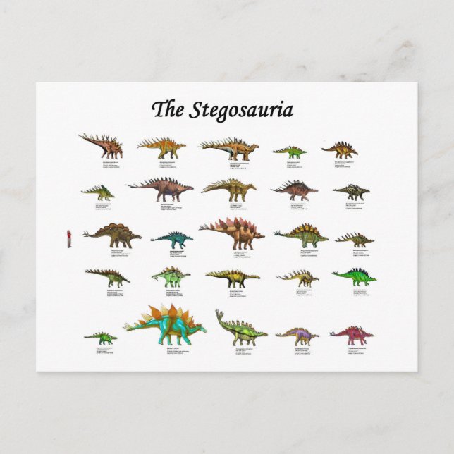 dinosaurs chart poster holiday postcard (Front)