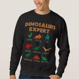 Dinosaurs Expert Boys Girls Dino T-rex Spinosaurus Sweatshirt