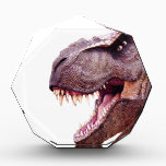Dinosaurs T-Rex Award<br><div class="desc">Dinosaurs T-Rex</div>