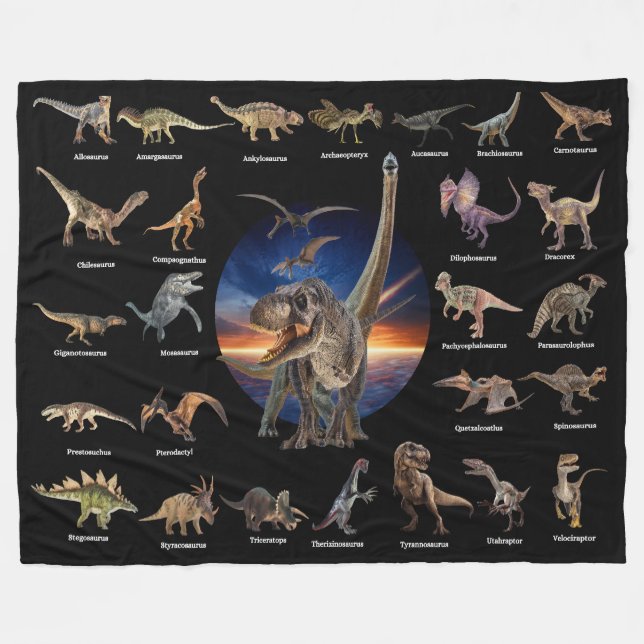 Dinosaurs: The Jurassic Age Black Fleece Blanket (Front (Horizontal))