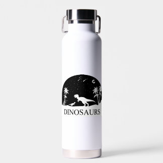 Dinosaurs Under the Stars Water Bottle