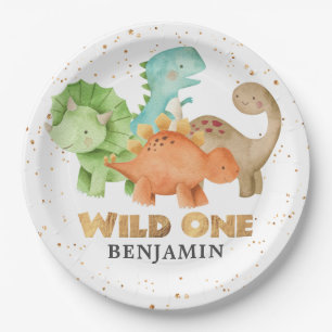 Dinosaurs Wild One Jurassic 1st Birthday Paper Pla Plates