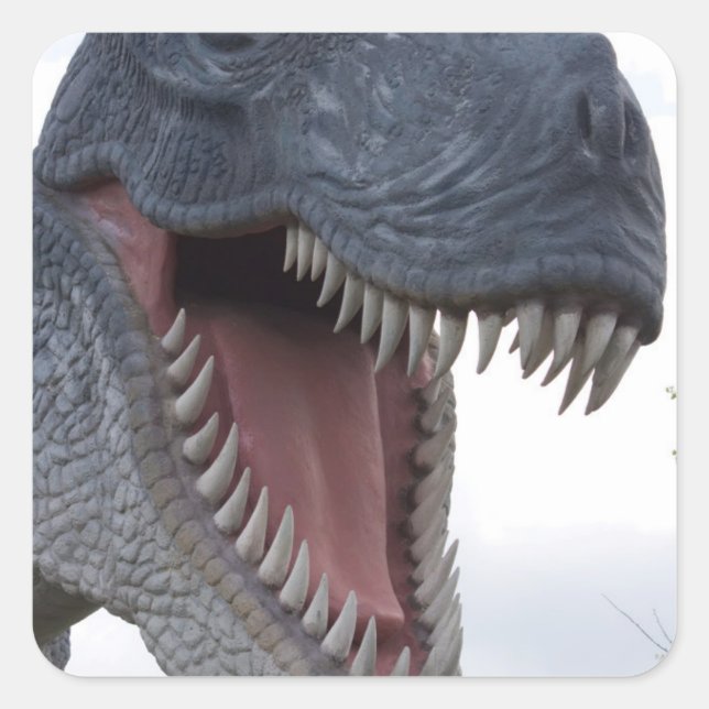 Dinosaurs with big teeth square sticker (Front)