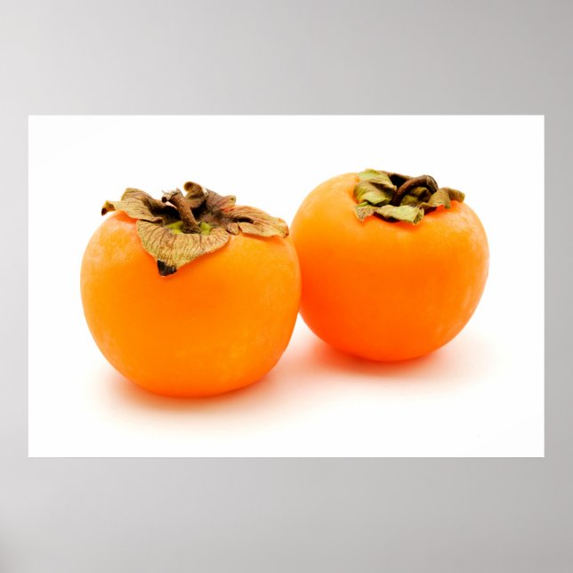 Diospyros kaki poster (Front)