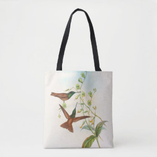 Diphogena Aurora Gould's Rainbow by John Gould Tote Bag