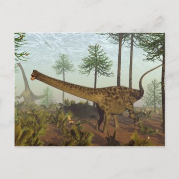 Diplodocus Dinosaurs Among Araucaria Trees - 3d Re Postcard by Elenarts_PaleoArts at Zazzle