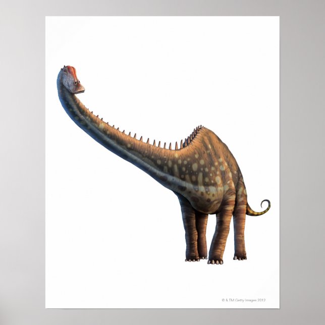 Diplodocus Poster (Front)