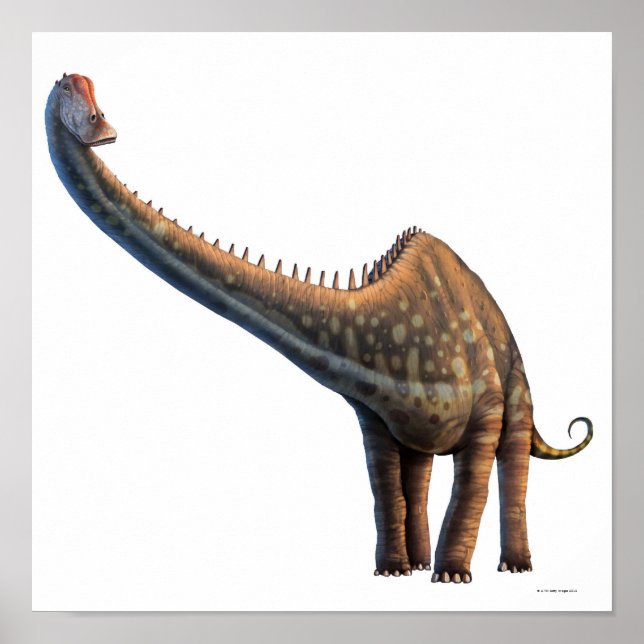 Diplodocus Poster (Front)