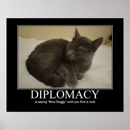 Diplomacy Cat Artwork Poster