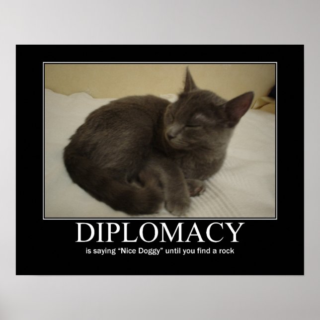 Diplomacy Cat Artwork Poster (Front)