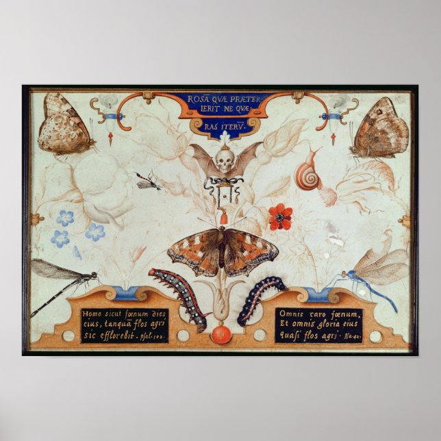 Diptych with flowers and insects, 1591 poster (Front)