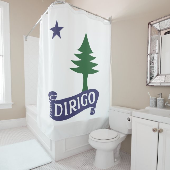 Dirigo / 1901 Flag Shower Curtain (In Situ)
