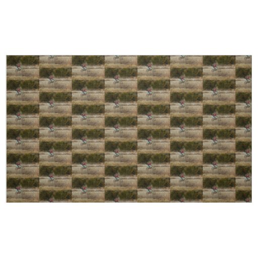 Dirt Bike Riding Fabric