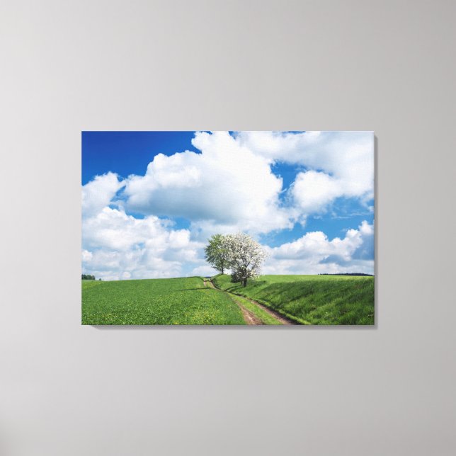 Dirt Road and Apple Trees Canvas Print (Front)