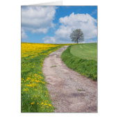 Dirt Road and Tree (Front)