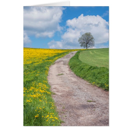 Dirt Road and Tree Cards (Front)