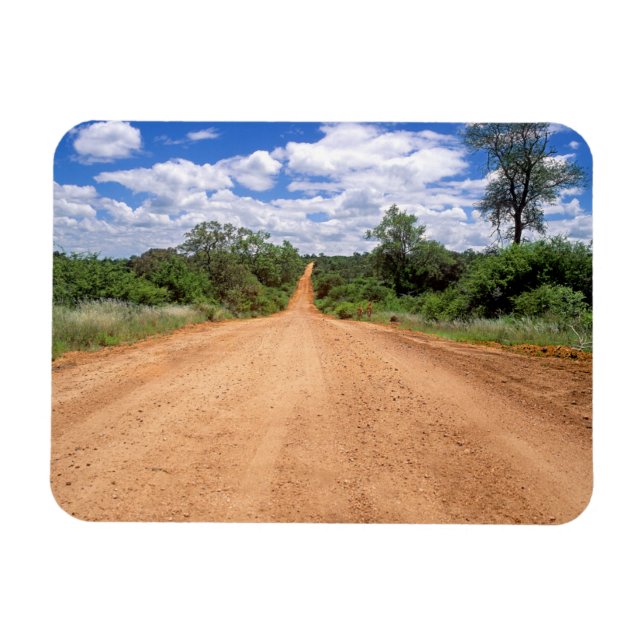 Dirt Road, Kruger National Park, Mpumalanga Magnet (Horizontal)