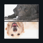 Dirty Dog Clean Dog Dishwasher Magnet<br><div class="desc">You can use these dogs or put your own clean and dirty dog picks. Put this magnet on your dishwasher to let everyone know when it is clean or dirty.</div>