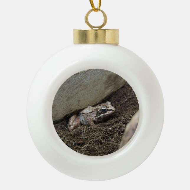 Dirty Frog Ceramic Ball Christmas Ornament (Front)