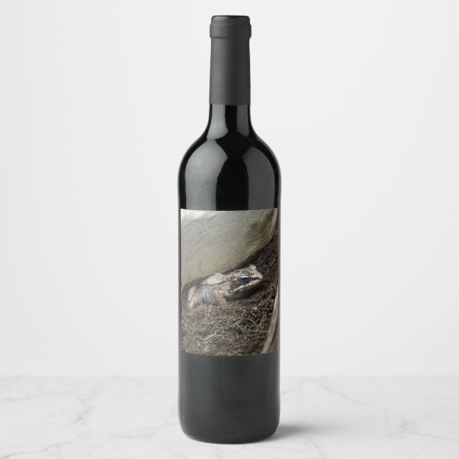 Dirty Frog Wine Label (Front)