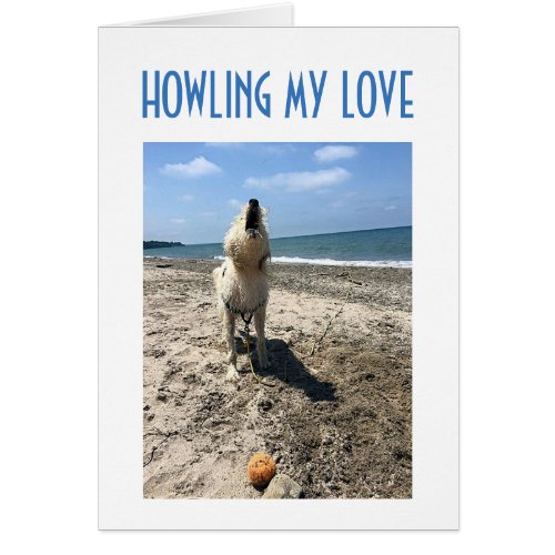 DIRTY LOVING DOG HOWLS LOVE FOR YOU