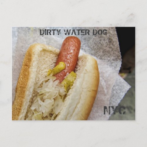 Dirty Water Dog NYC Postcard