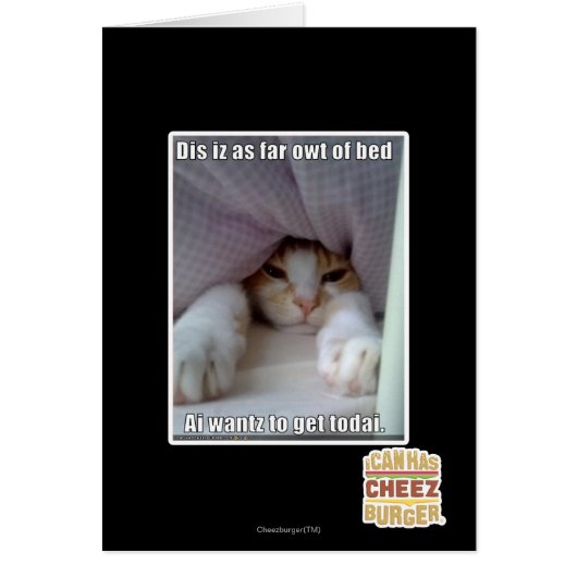 Dis iz as far owt of bed.. cards (Front)